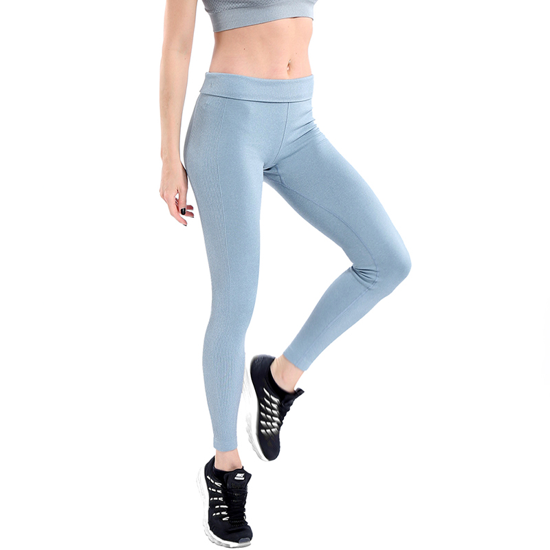 Women’s Elastic Spandex Sports Leggings – Moriarty Store