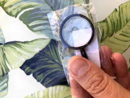 Hand Held Magnifying Glass