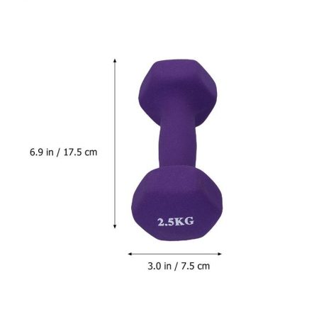 Exercise Dumbbells 2.5 kg (one pair)
