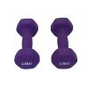 One Pair Exercise Dumbbells Frosted Dumbbells Lady Barbells Hand Bar For Yoga Fitness Lose Weight