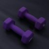 One Pair Exercise Dumbbells Frosted Dumbbells Lady Barbells Hand Bar For Yoga Fitness Photo