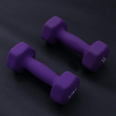 Exercise Dumbbells 2.5 kg (one pair)