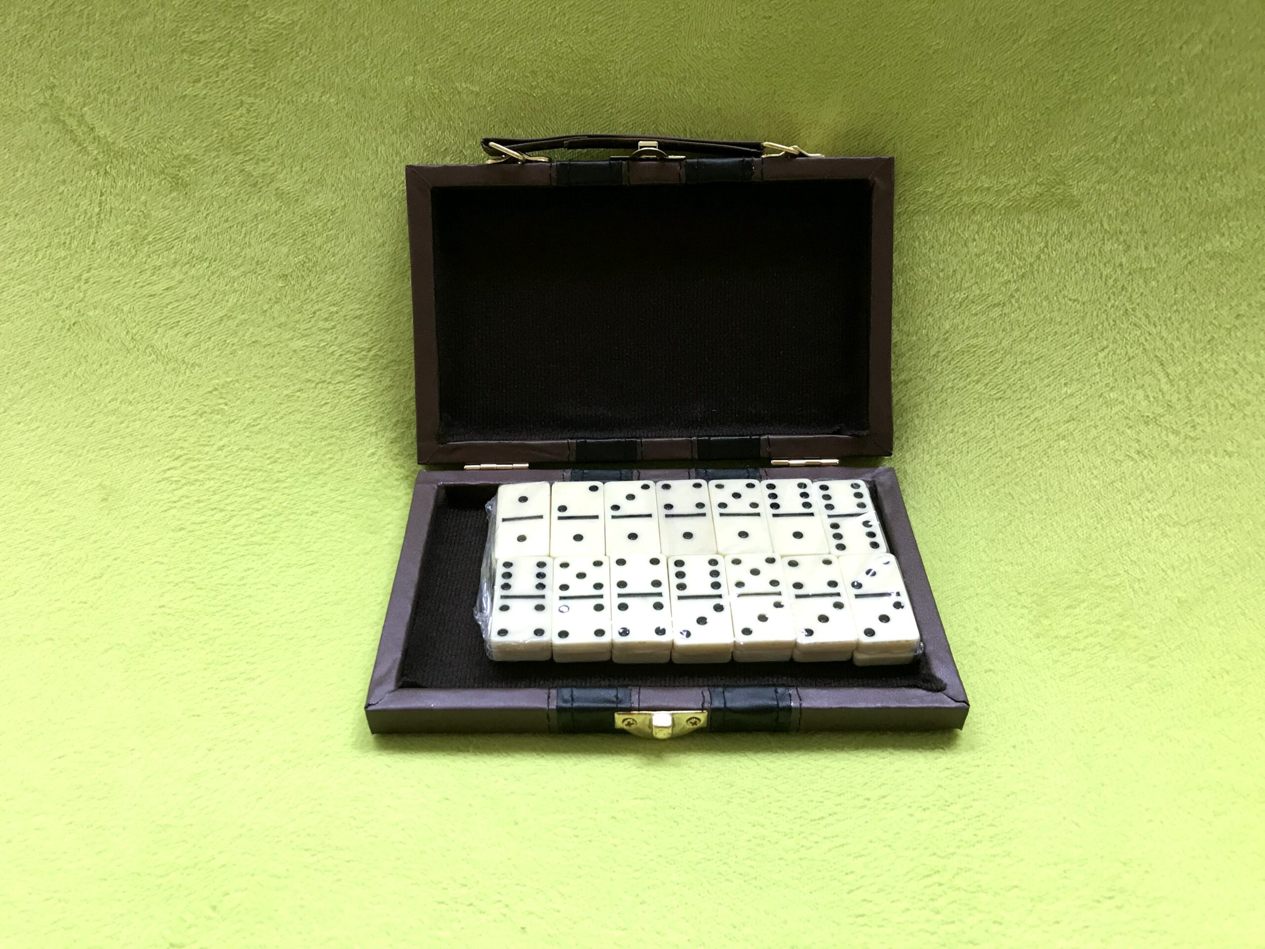 Domino Game Set